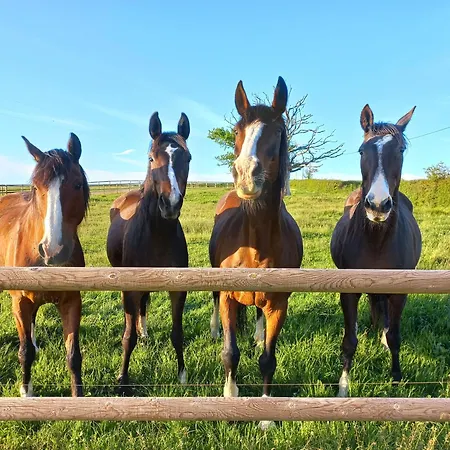 Tipi Du Petit Villers Luxury tent *